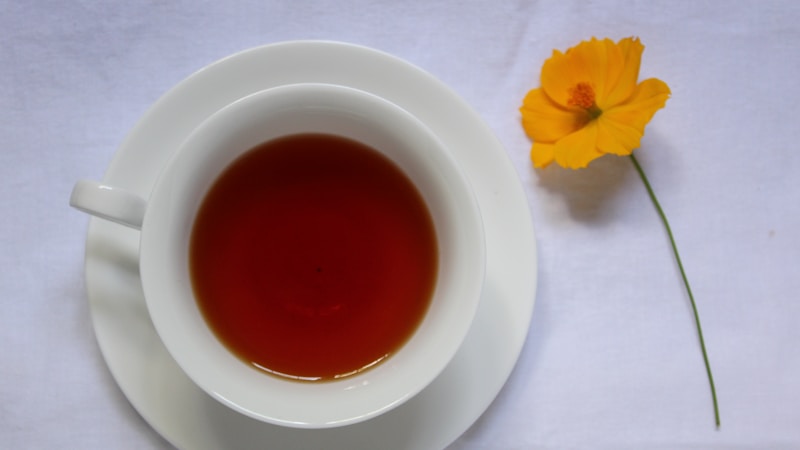 红茶全解析：从制作工艺到茶艺美学